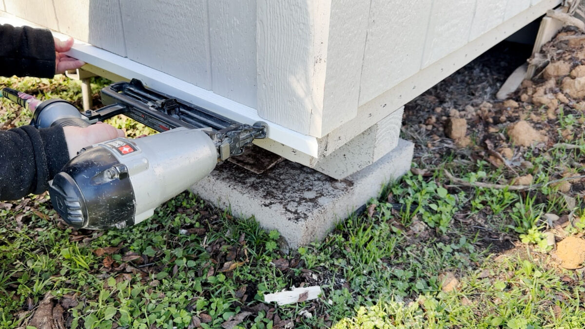 Nail on ledger board as transition between siding and skirting on backyard shed